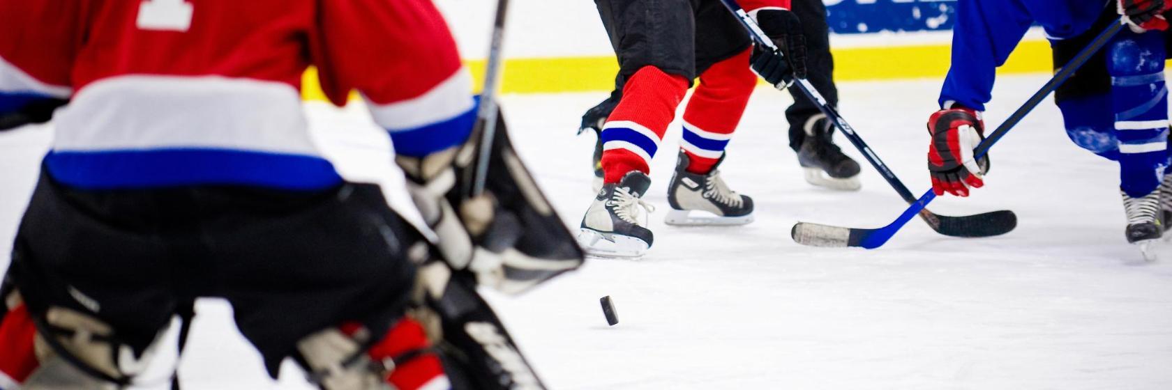 Centre sportif Doug Mitchell Thunderbird